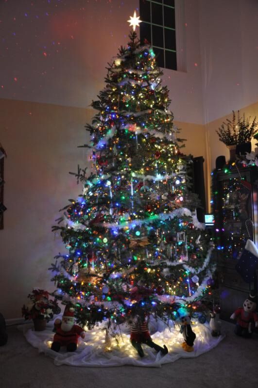 Bruce and Lorri Christmas Tree